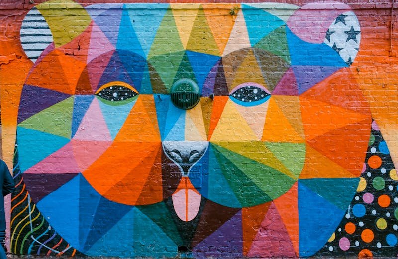 a bear showcasing graphic design skills<br />
